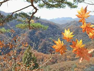 蘇陌涼最新章節(jié)，風云際會，命運轉(zhuǎn)折